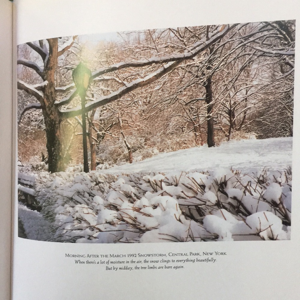 Coffee Table book of Photography by Evelyn Lauder “The Seasons Observed”. NWOT. - Picture 6 of 6